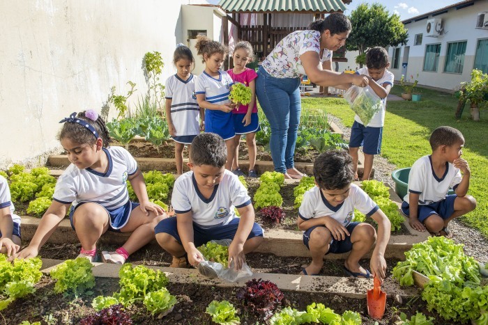 Crianças na horta educativa